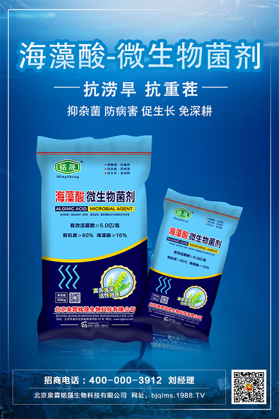 板栗只開花不結(jié)果是什么原因?板栗不掛果的解決措施!