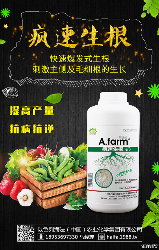 葡萄裂果是啥原因？該如何預(yù)防？葡萄裂果的原因和防治方法