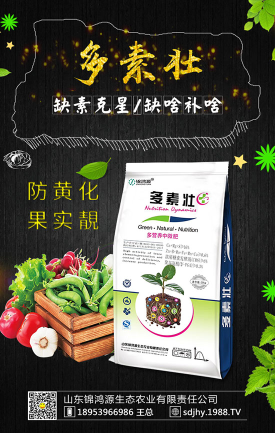 ���������緽������Щ������������Ҫ�c(di��n)�����ڹ�����