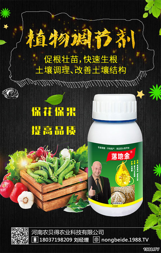 �����~Ƭ�l(f��)����ʲôԭ���������B(y��ng)ֳע��Ҫ�c(di��n)��