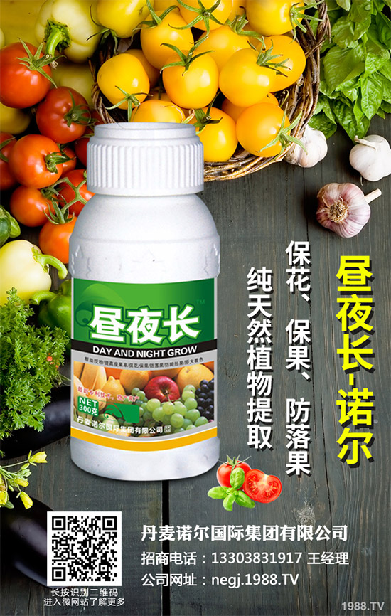 夏芹菜什么時(shí)候種植?該如何種植?夏芹菜高產(chǎn)種植技術(shù)