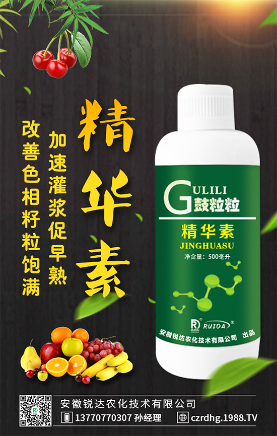     �t�Ļ������Ͱ��Ļ������Ă������^(q��)�e����Щ���I�B(y��ng)�l������