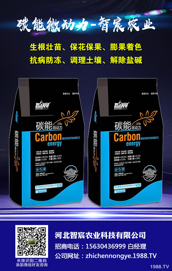 ���ϵ��������������ʩ���Ľ�����