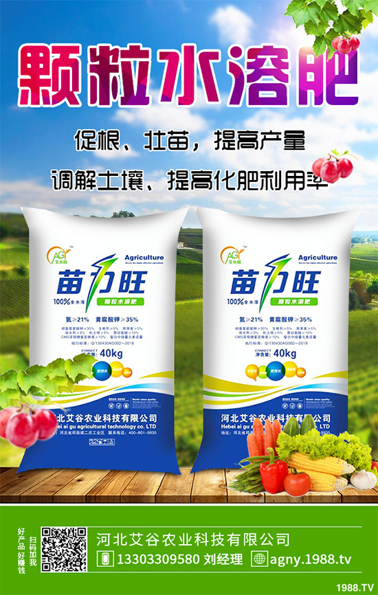 黑番茄有哪些營養(yǎng)價值？功效作用有哪些？黑番茄的功效作用及種植前景