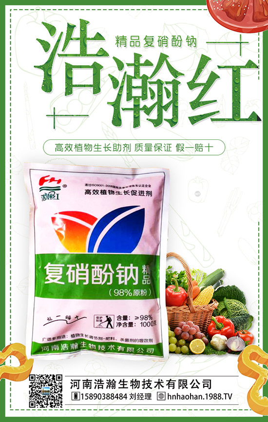 番茄什么時間種植,番茄種植技術(shù)及管理要點(diǎn)!