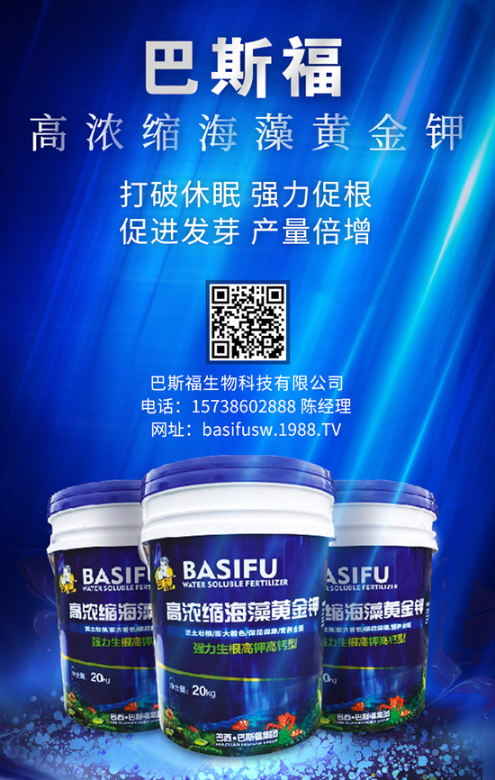 玉米施肥的更佳時間是啥時候？ 咋樣施效果好？