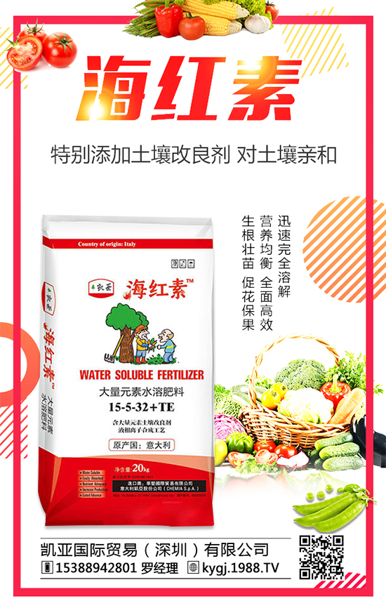 金錢草的產(chǎn)地分布在哪?金錢草種植注意事項(xiàng)!