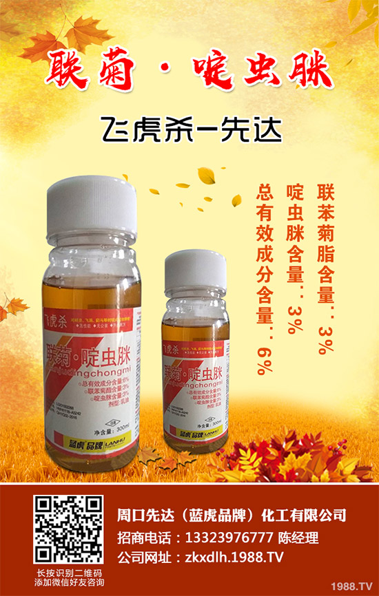 �����������Ƴ��¿�V�V���x��Elevest�����x��������+(li��n)��������