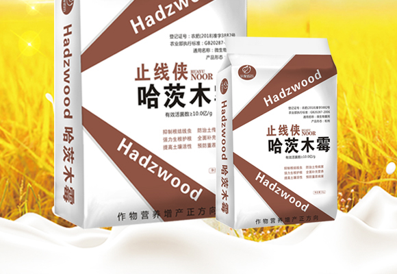 ΢�����������ľù-ֹ���b-�Z��_02