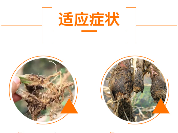 ΢�����������ľù-ֹ���b-�Z��_06