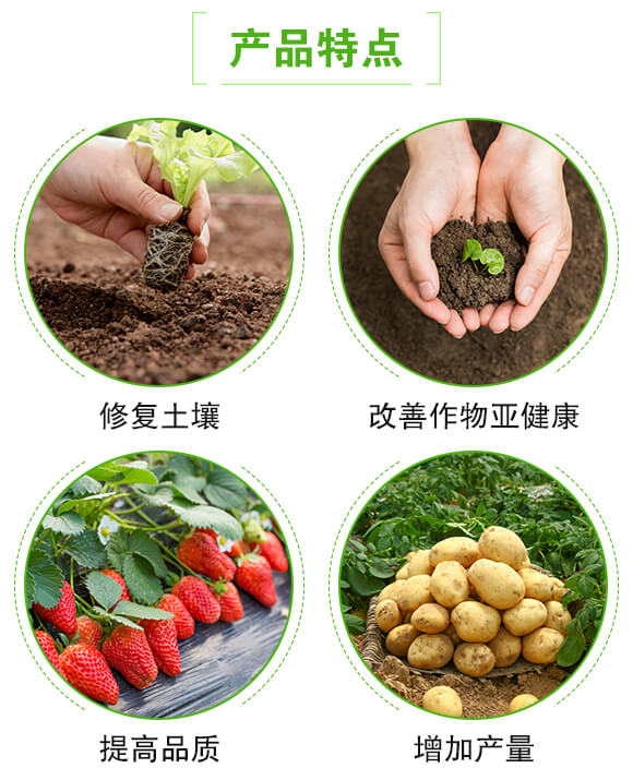枯草芽孢桿菌-根線終結-聯(lián)邦嘉吉_04
