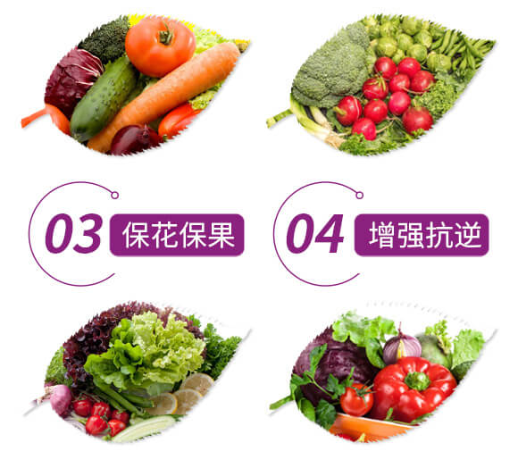 ������͏�(f��)�Ϸ���12-8-28-����Ԫ�����-���r(n��ng)��_05