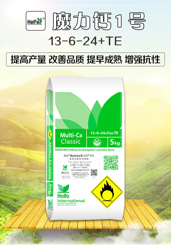 �๦����ˮ�ܷ�13-6-24+TE-ħ���}1̖-�������Q(m��o)_01