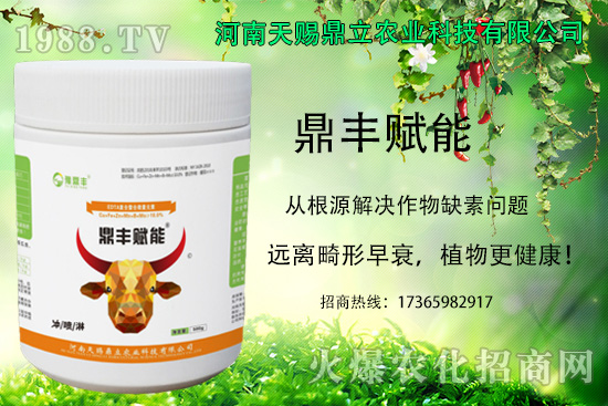 ��������ô�M(j��n)��׷���������˵ķNֲע�����(xi��ng)��
