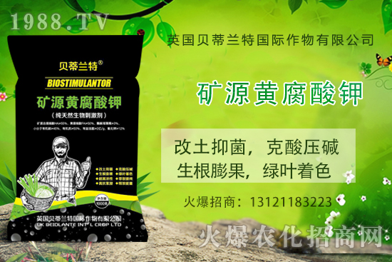 哈密瓜怎么種？哈密瓜種植應(yīng)該注意哪些事項？