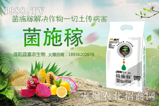 2020年農(nóng)村種野菜賺錢嗎？選擇哪些野菜品種效益高？建議收藏！