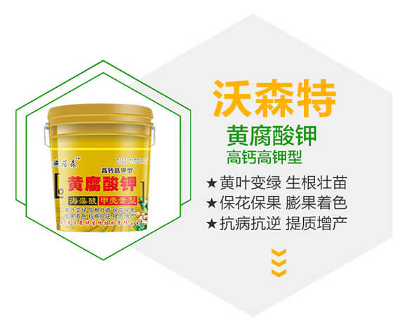 ���}������S�����-ʩ��ɭ-��ɭ��_02