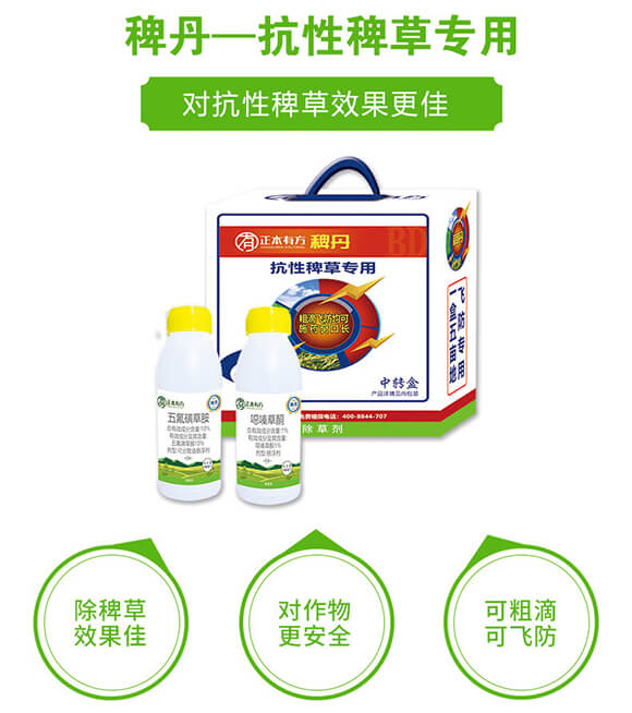 ���԰޲݌���-�޵�-�����з�_02