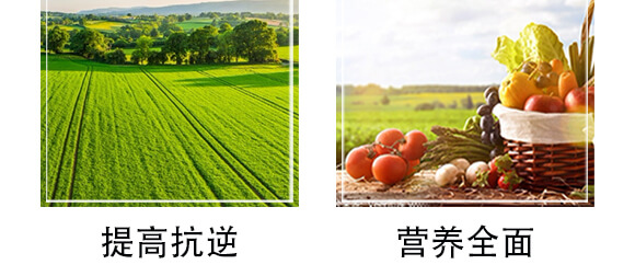 �S������΢�ЙC����-С����-�r(n��ng)��һ_07