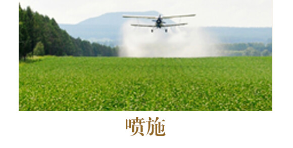 中藥材營養(yǎng)快補(bǔ)-含腐植酸水溶肥-北美農(nóng)大_13