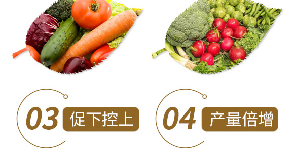 ��ˎ��ɽˎ���ߌ���-����ֲ��ˮ�ܷ�-�����r(n��ng)��_07