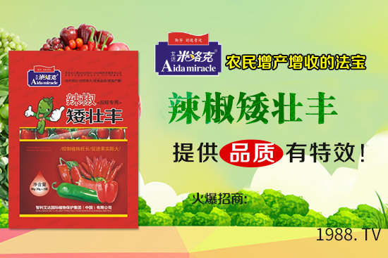 辣椒葉子卷曲由什么原因?qū)е?？辣椒葉子卷曲防治措施!