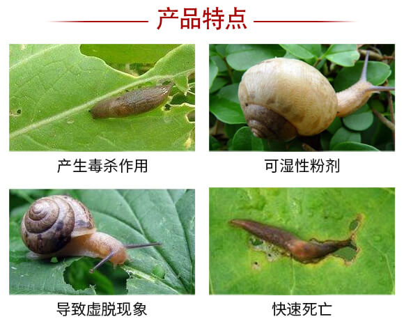 80%�ľ���ȩ��15�ˣ�-�p��-�P�Z����_05