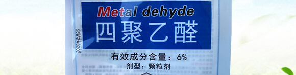 6%�ľ���ȩ��300�ˣ�-��(zh��n)��-�P�Z����_02