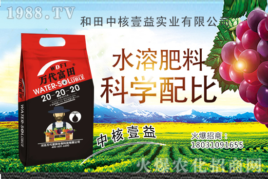 荔枝什么時(shí)間種植,荔枝種植技術(shù)要點(diǎn),荔枝品種要怎么選?