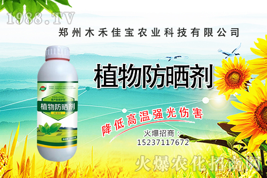 ������Nֲ����Ҫ�c(di��n)����Щ�����������Է�����