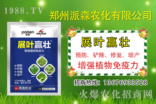 韭菜什么時(shí)候播種?韭菜市場(chǎng)前景如何?(種植成本及利潤(rùn)分析)