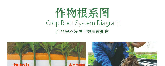 農(nóng)夫稼園生物技術(shù)有限公司2_12