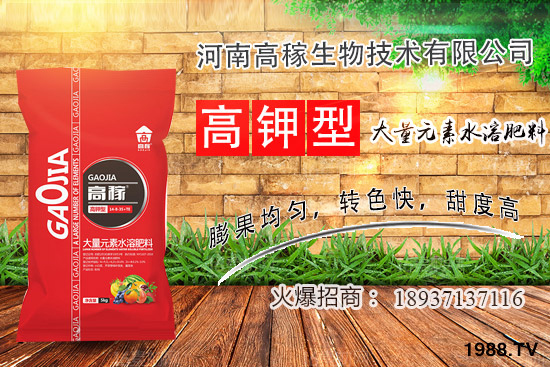 小香蔥種植環(huán)境有什么要求？夏季種植小香蔥的技巧！