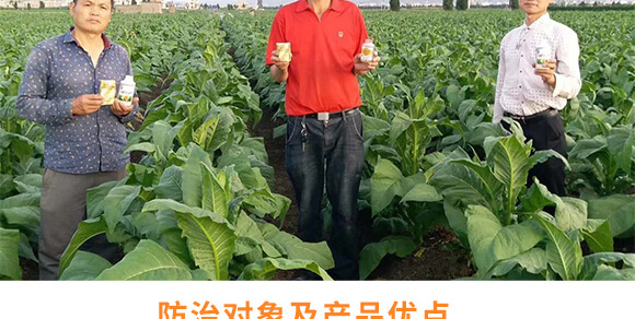 農(nóng)夫稼園生物技術(shù)有限公司1_08