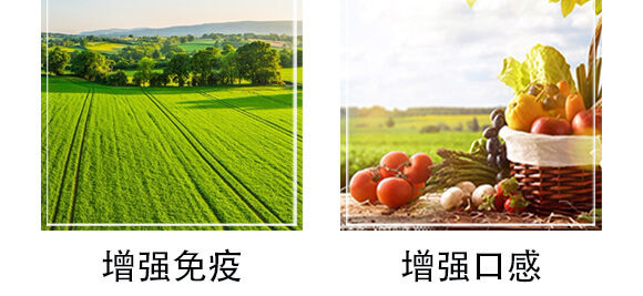 ���S�x��-���n����_06