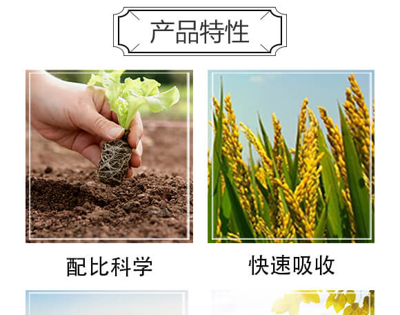 ���S�x��-���n����_05