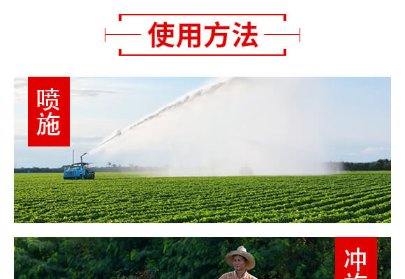 山東濟(jì)寧金網(wǎng)聯(lián)配方肥有限公司產(chǎn)品詳情頁3_07