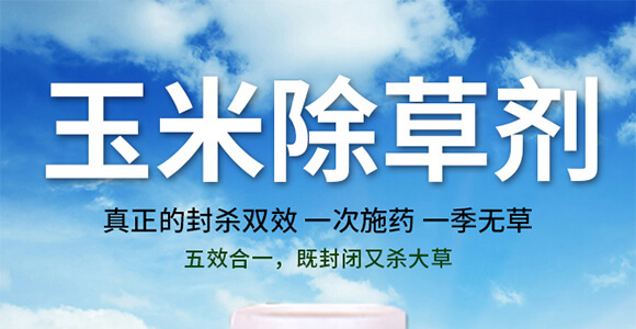 ���׳��݄��⚢�͡�����L_01