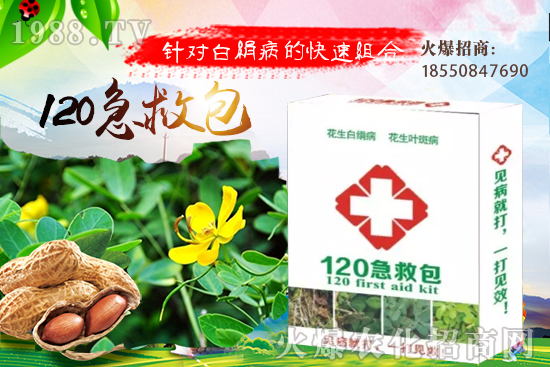 慈姑育苗方法有哪些？慈菇怎么移栽定植？