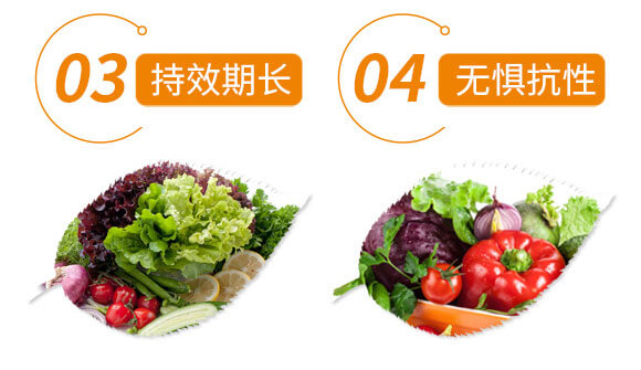 �x(ch��ng)����+ʭ����-�����p��-����֮��_09