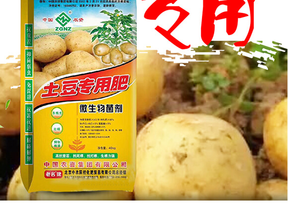 土豆專(zhuān)用微生物菌劑-中農(nóng)_02