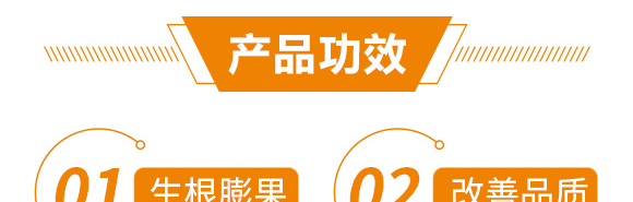 �߮a(ch��n)�G�M��-������-��������_06