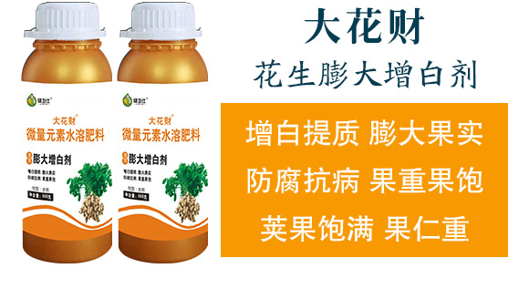 �����ٻ���ᘷ�辄�-��ؔ-�G������_04