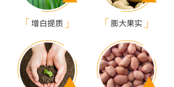 �����ٻ���ᘷ�辄�-��ؔ-�G������_06