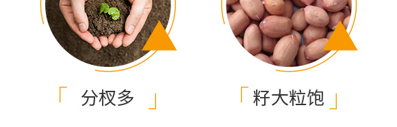 �����ٻ����?l��)�辄?��ؔ(c��i)-�G������_07