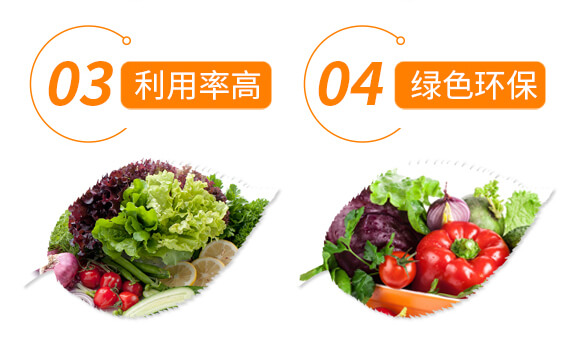 14元素液體復合肥-地喜家旺-科汛_05