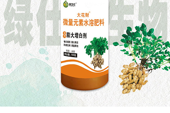 �����ٻ���ᘷ�辄�-��ؔ-�G������_03