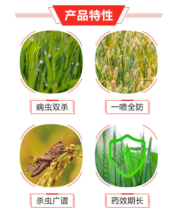 �p�Є�-�Z������_03