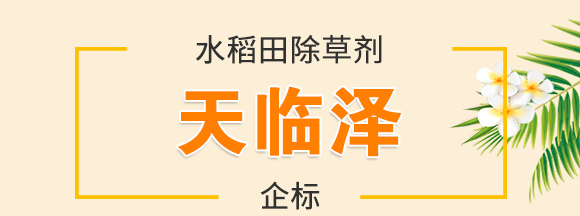 水稻田除草劑-天臨澤-企標_01