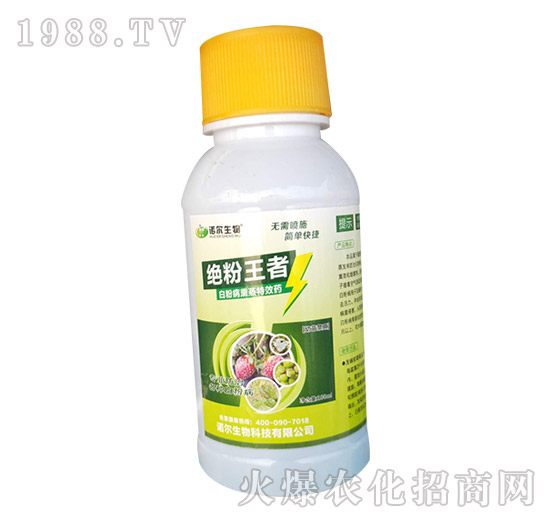 黃瓜白粉病發(fā)生嚴(yán)重,有沒(méi)有好的方法?黃瓜白粉病藥劑推薦!